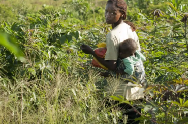 Total Energies et son Greenwashing au détriment des paysans congolais